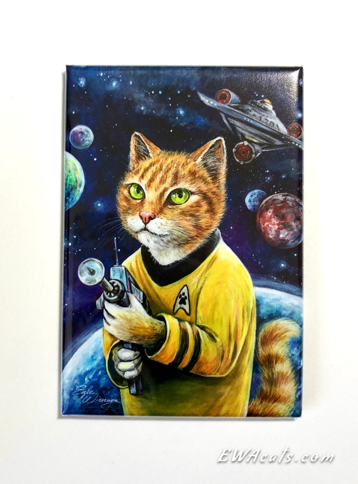 MAGNET 2"x 3" Rectangle "Cattain Purrk"