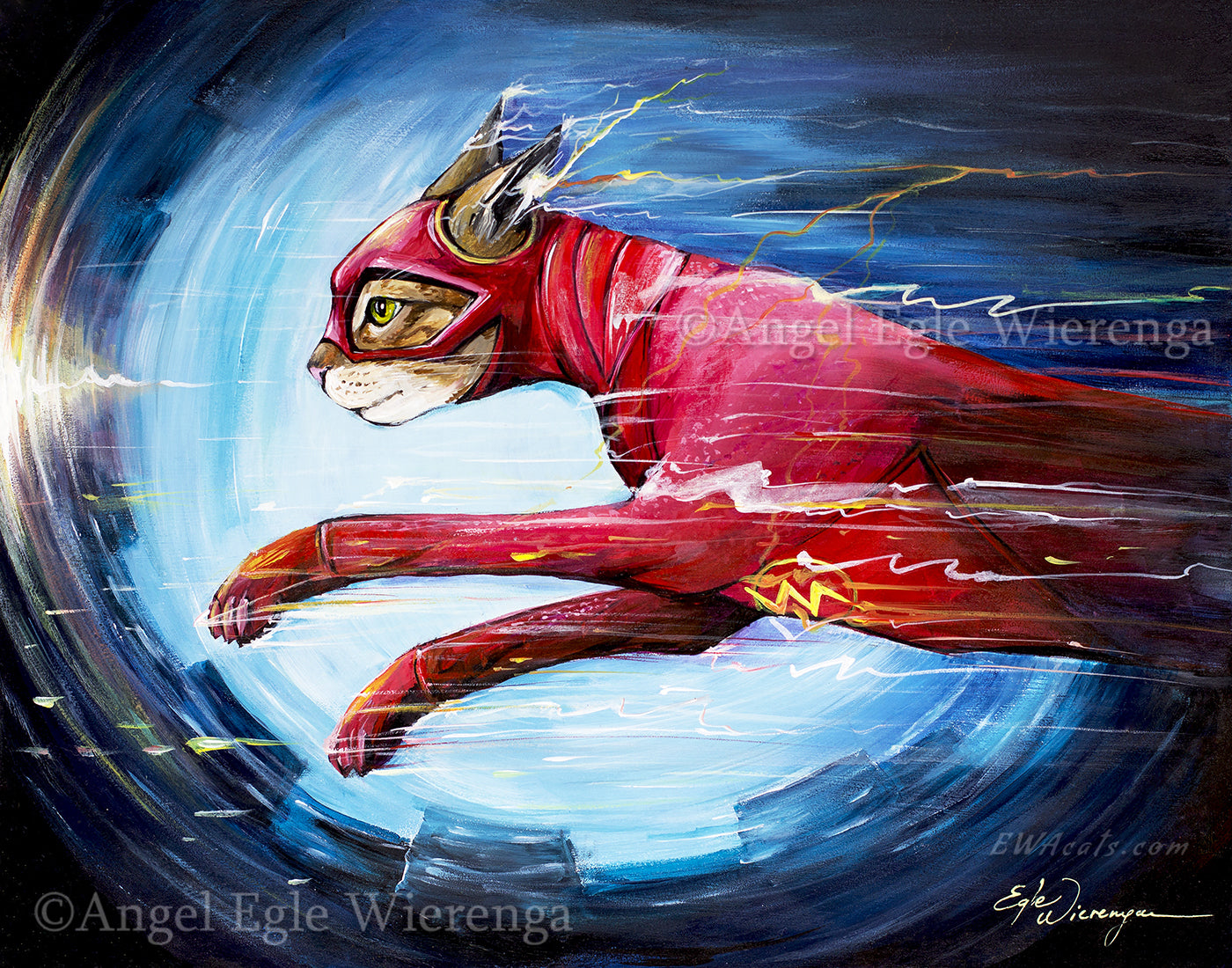 CANVAS "The Flashcat" Open & Limited Edition