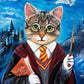 CANVAS "Harry Catter" Open & Limited Edition