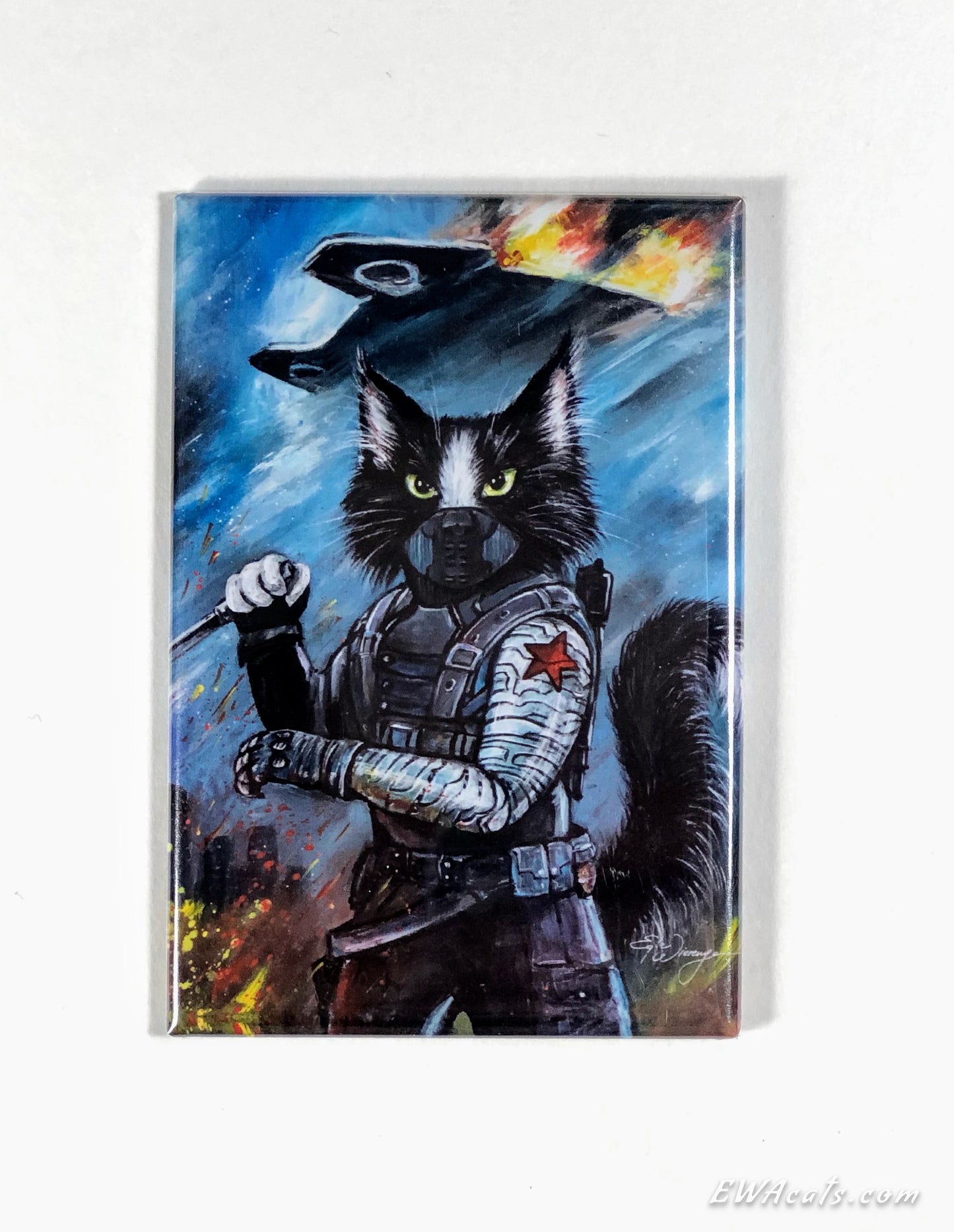 MAGNET 2"x 3" Rectangle "Bucky Cat"