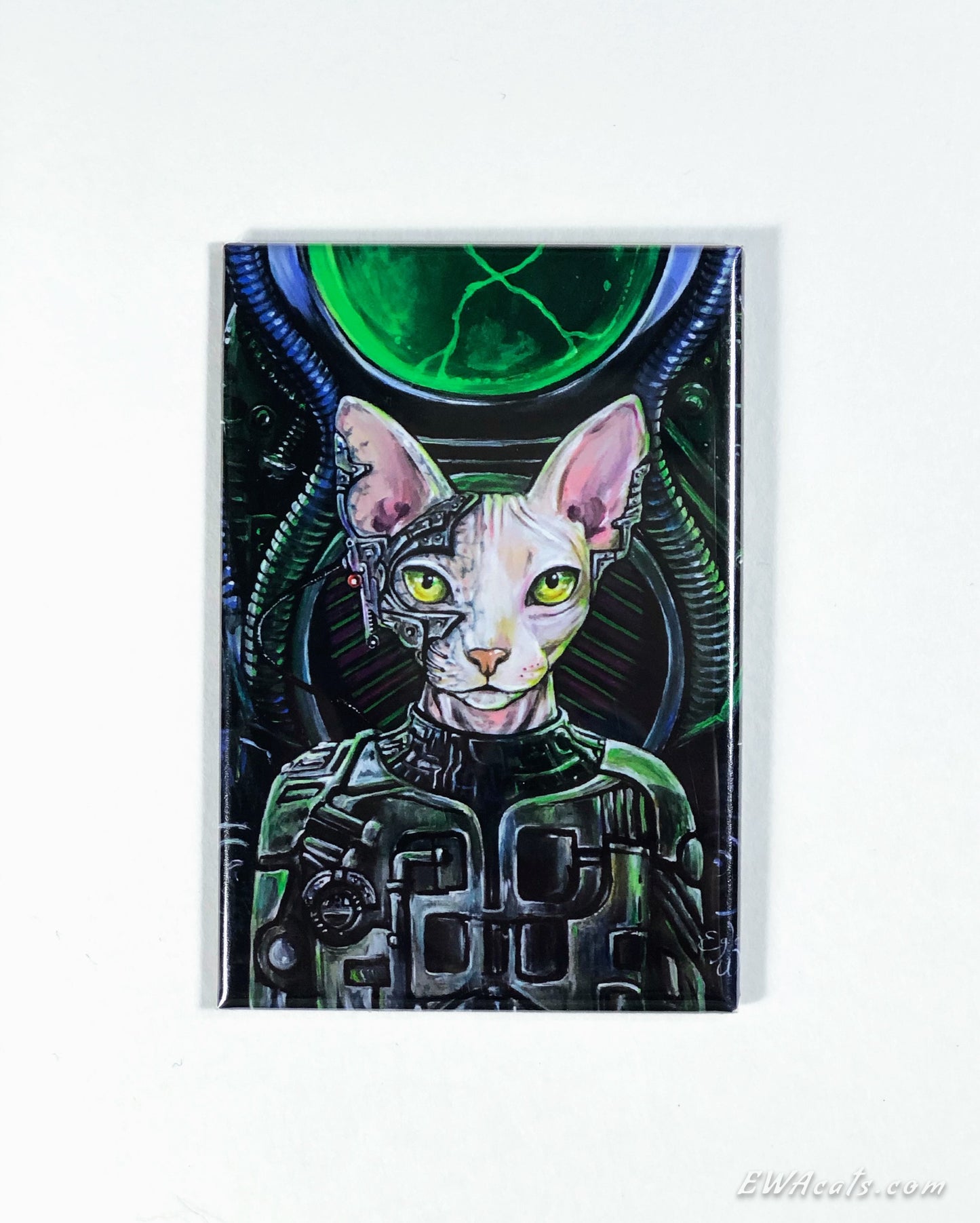MAGNET 2"x 3" Rectangle "LoCatus of Borg"
