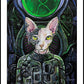 Art Print "LoCatus of Borg"