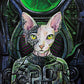 CANVAS "LoCatus of Borg" Open & Limited Edition