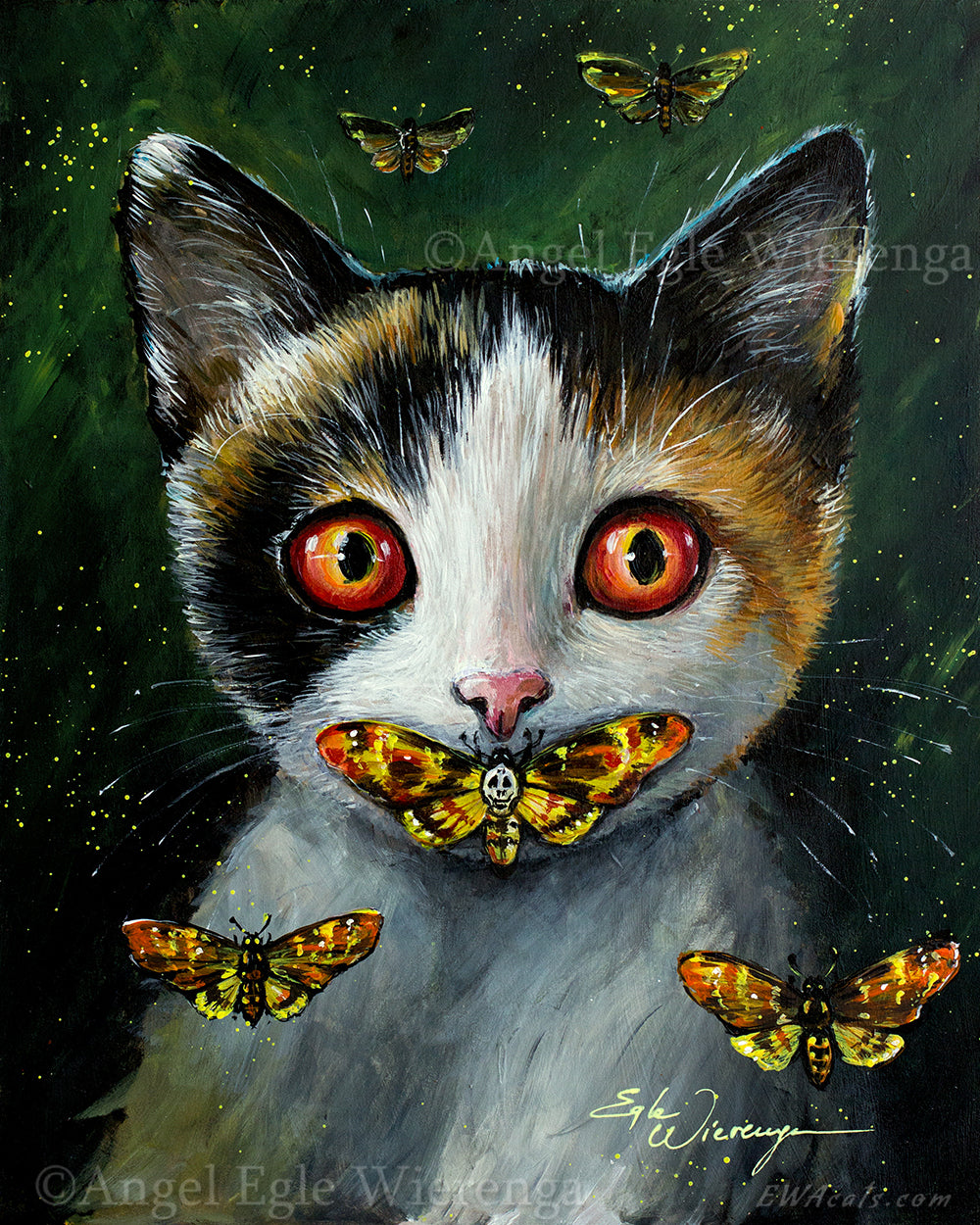 CANVAS "Silence of the Cats" Open & Limited Edition