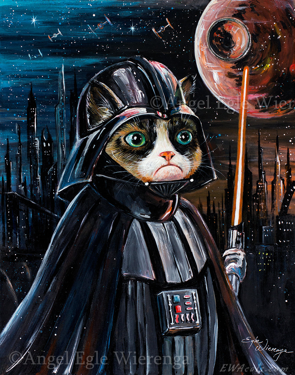 Cat Grumpy Star Wars